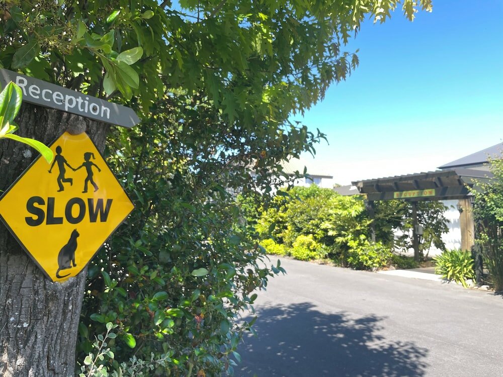 Фото Ashleigh Court Motel