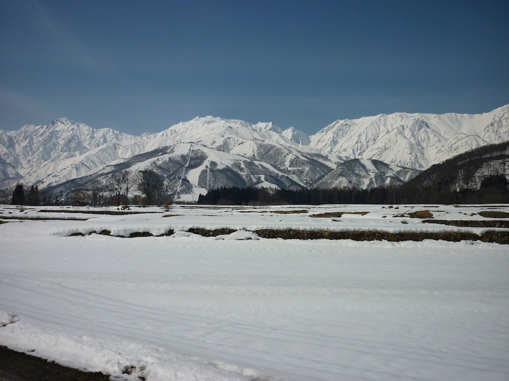 Фото Stayful House Nakamachi