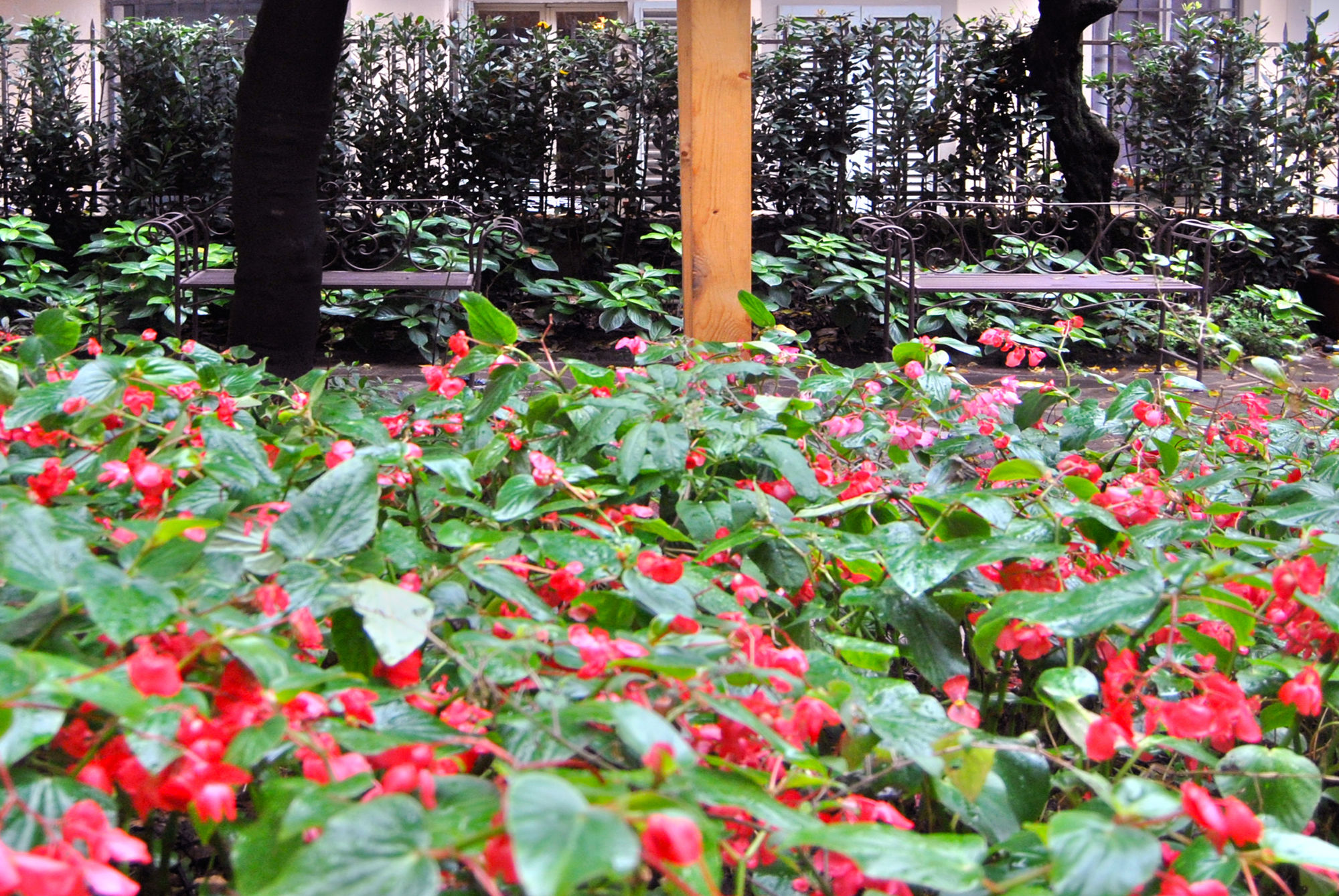 Фото Ginori Al Duomo & Ginori Garden Deluxe