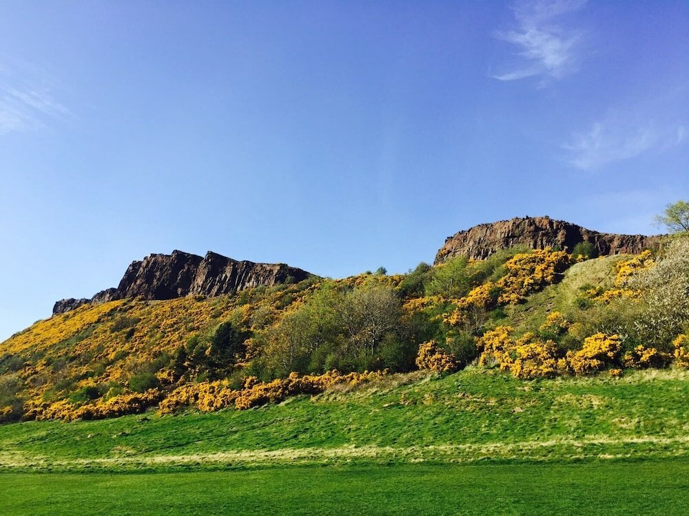 Фото Highfield Guest House