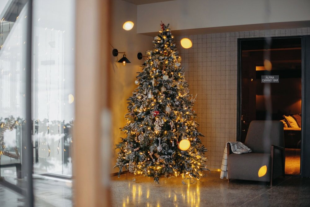 Фото Hotel Alpina