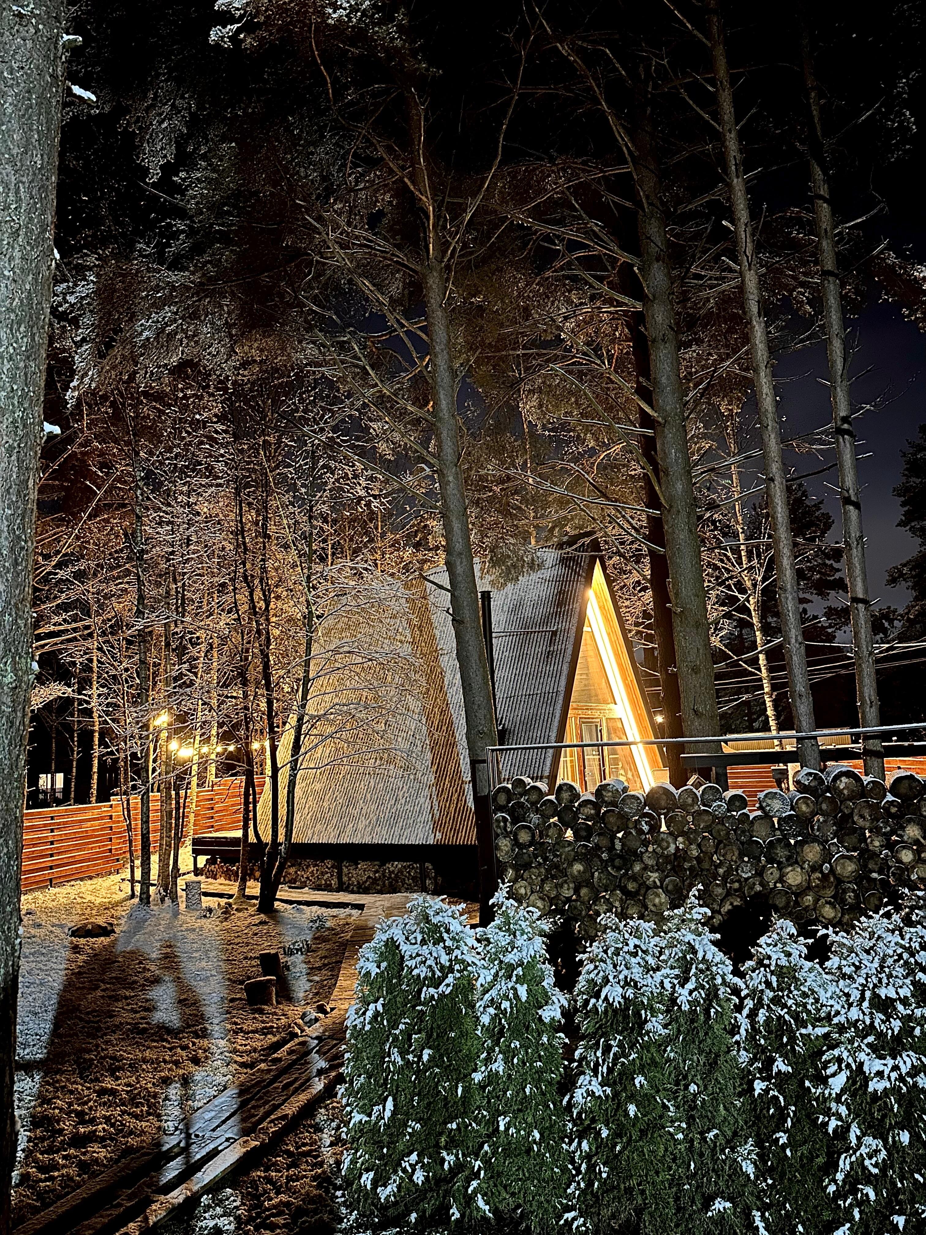 Фото Шишки Парк