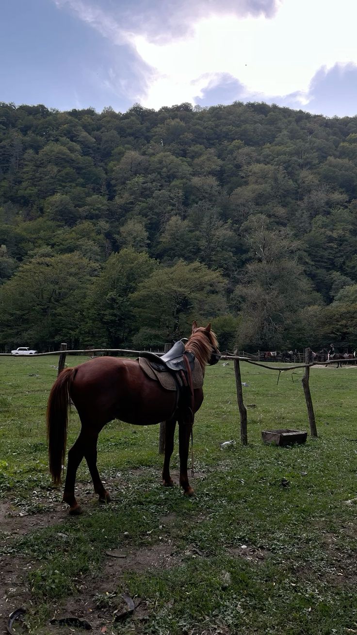 Фото Панорама Гор