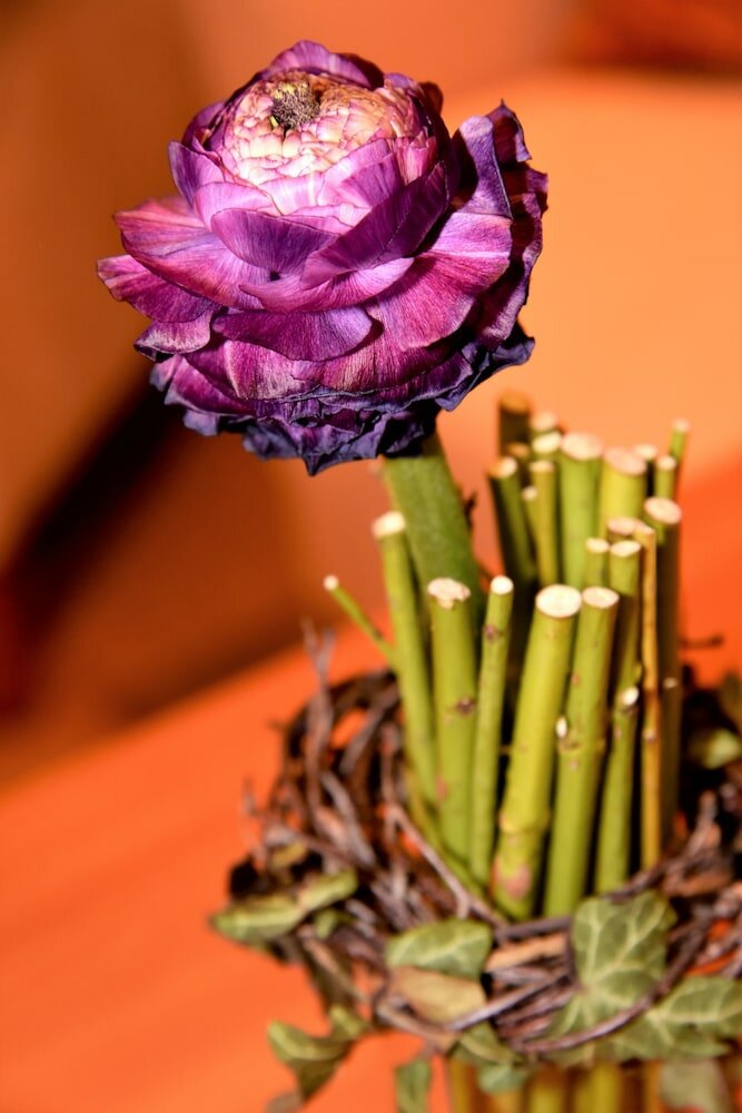 Фото Hotel am Spisertor & Kursana Senioren Residenz