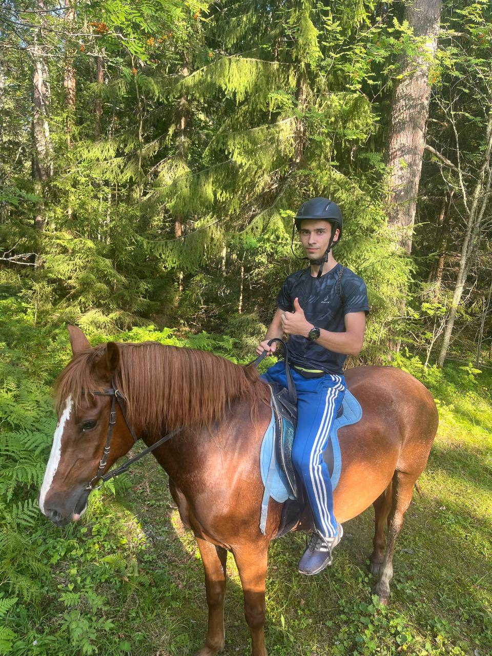 Фото Конюшенный двор