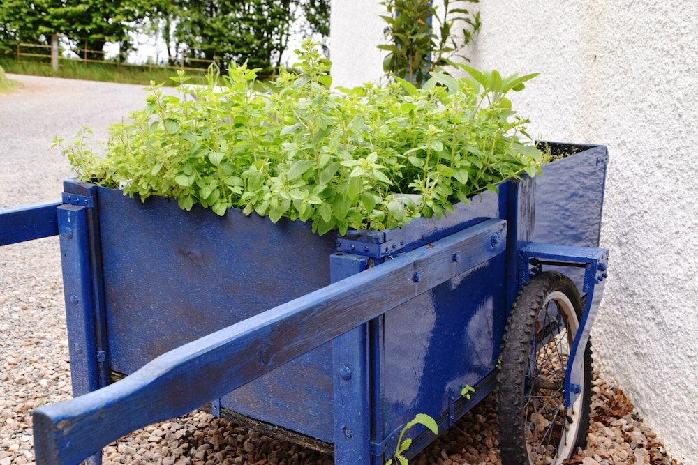 Фото Saplinbrae Hotel and Lodges