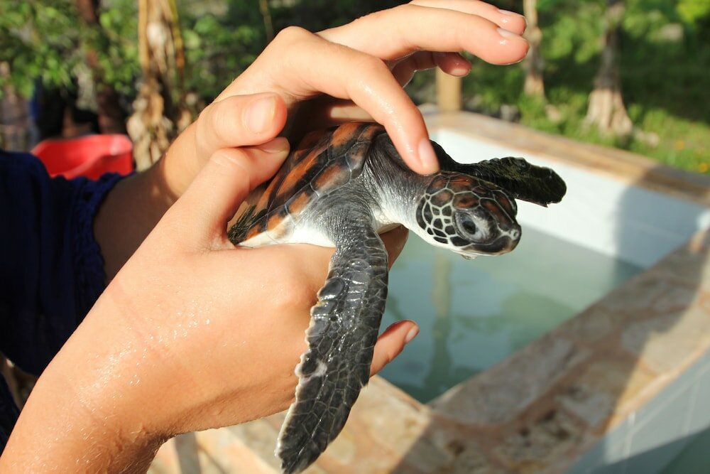 Фото Fruit & Spice Wellness Resort Zanzibar
