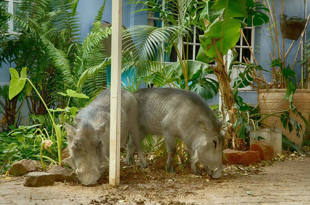 Фото The Old House