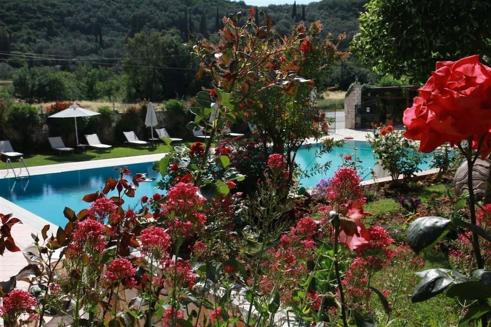 Фото Paradise Inn