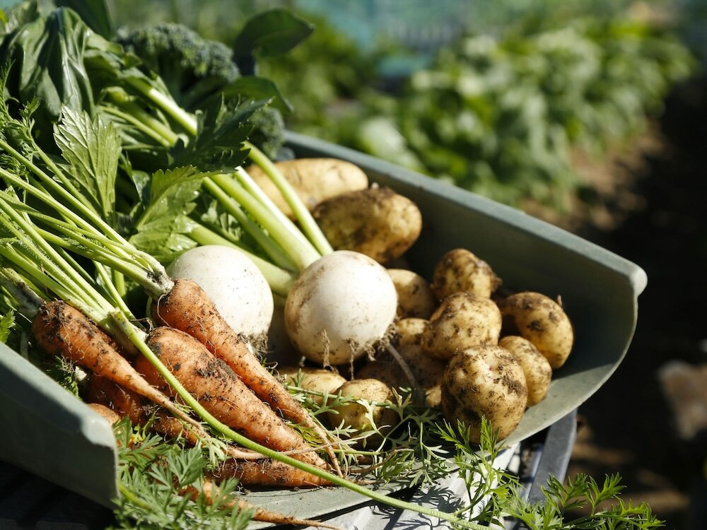 Фото Bishoku no Kakurega Provence