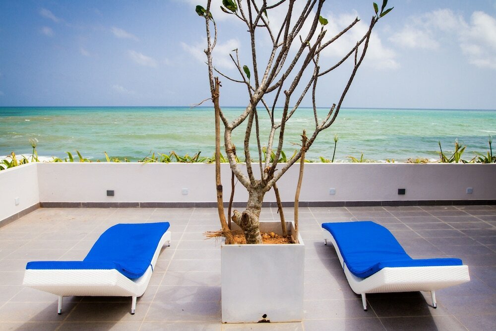 Фото Lazy Koala Hostel - Adults Only