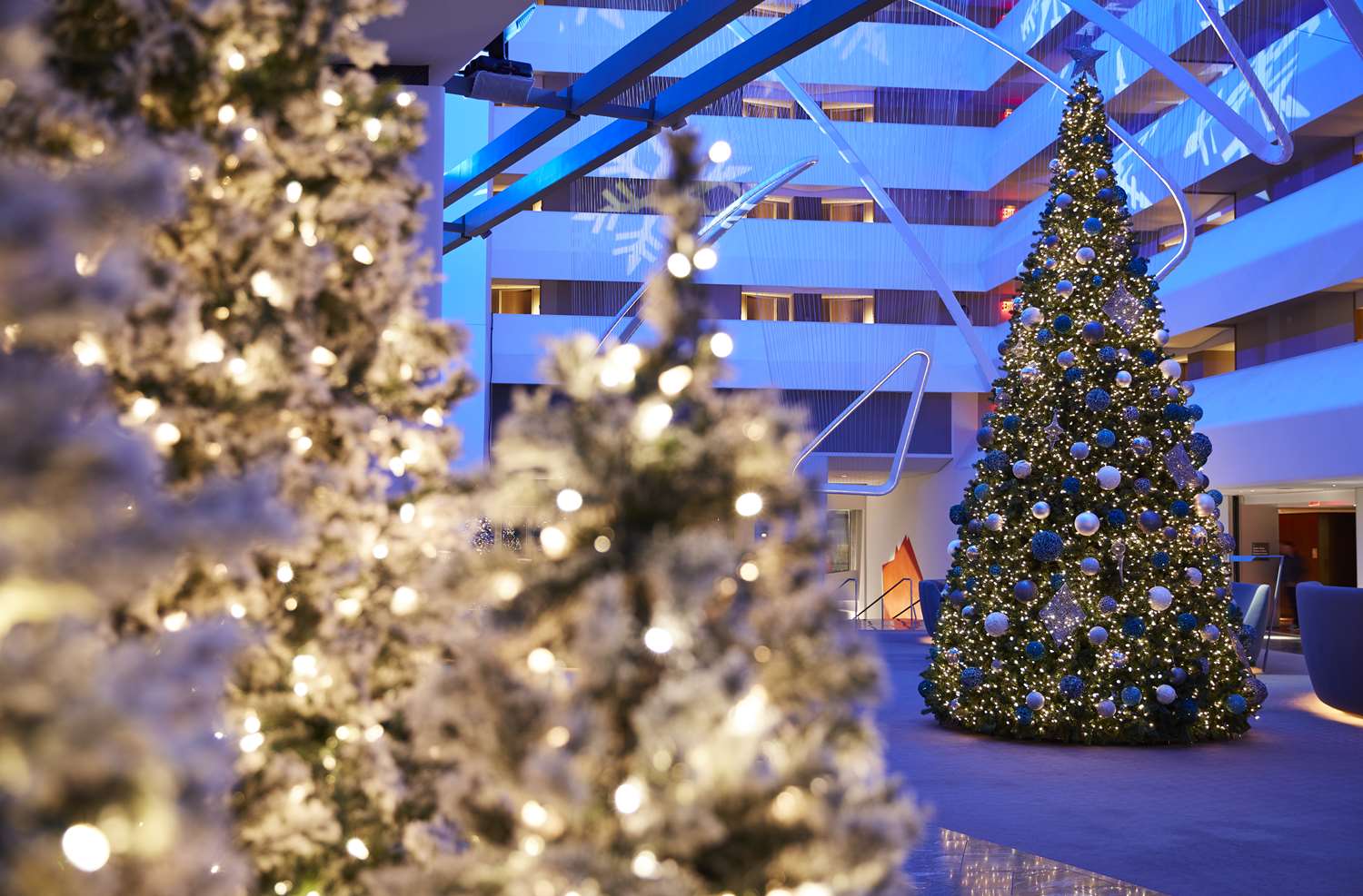 Фото Conrad New York Downtown