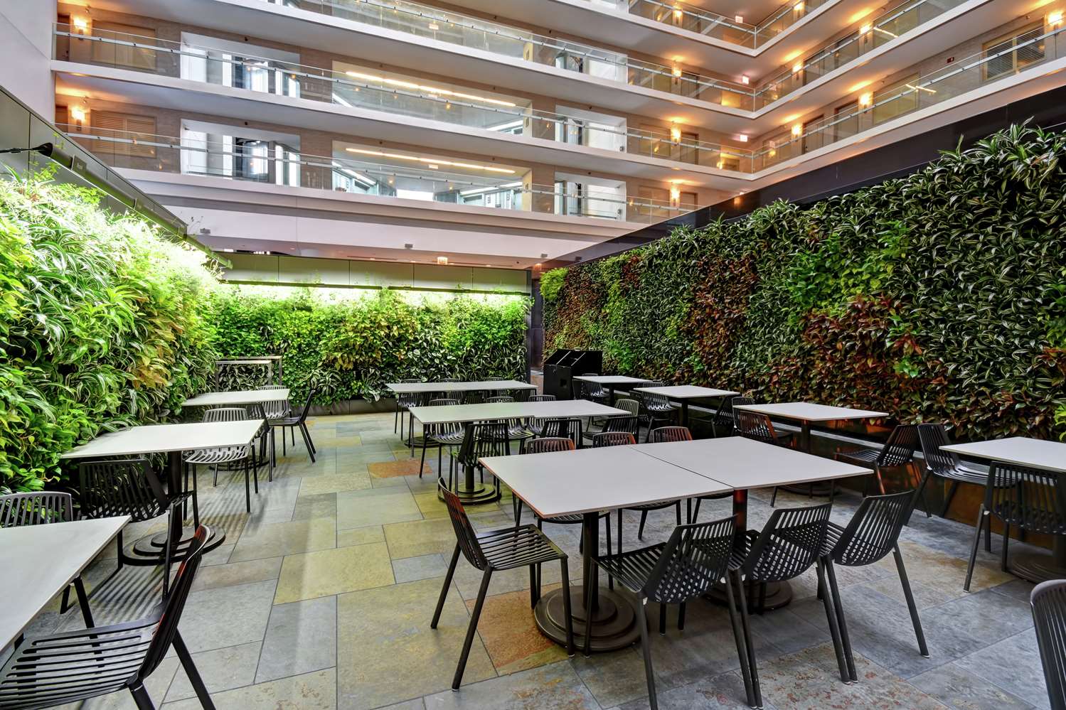 Фото Embassy Suites by Hilton Chicago Downtown Magnificent Mile