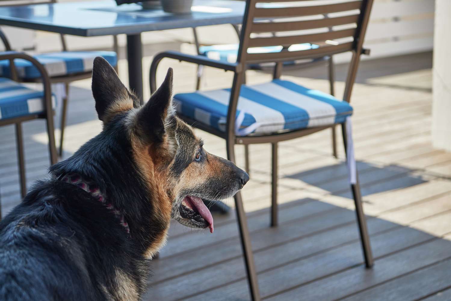 Фото DoubleTree by Hilton Hotel Berkeley Marina