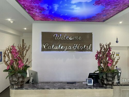 Гостиница Hotel Cataleya Bv в Флеволанде