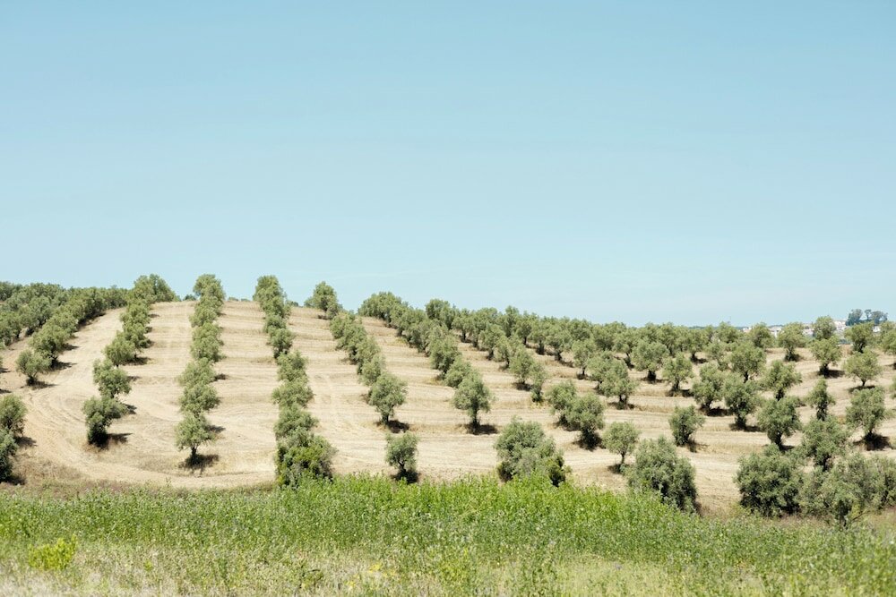 Фото Sleep & Nature Hotel