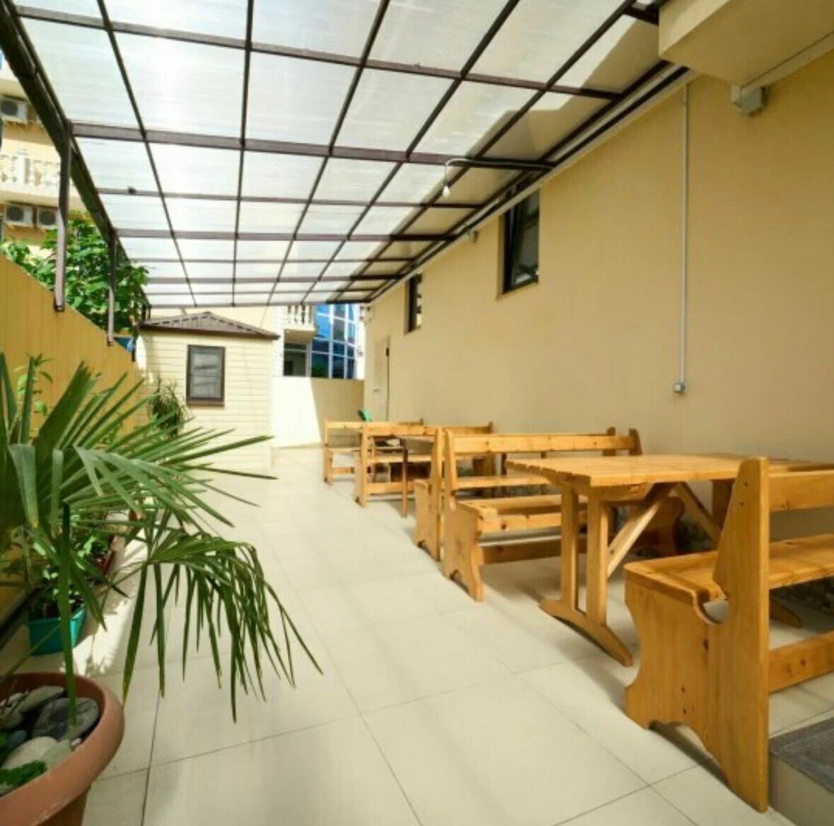 Фото Магнолия