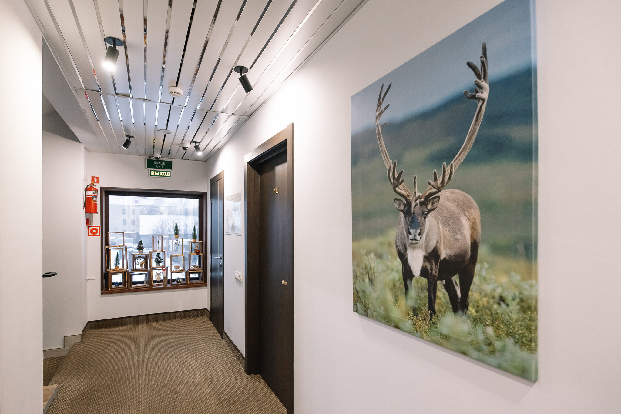 Фото Тундра