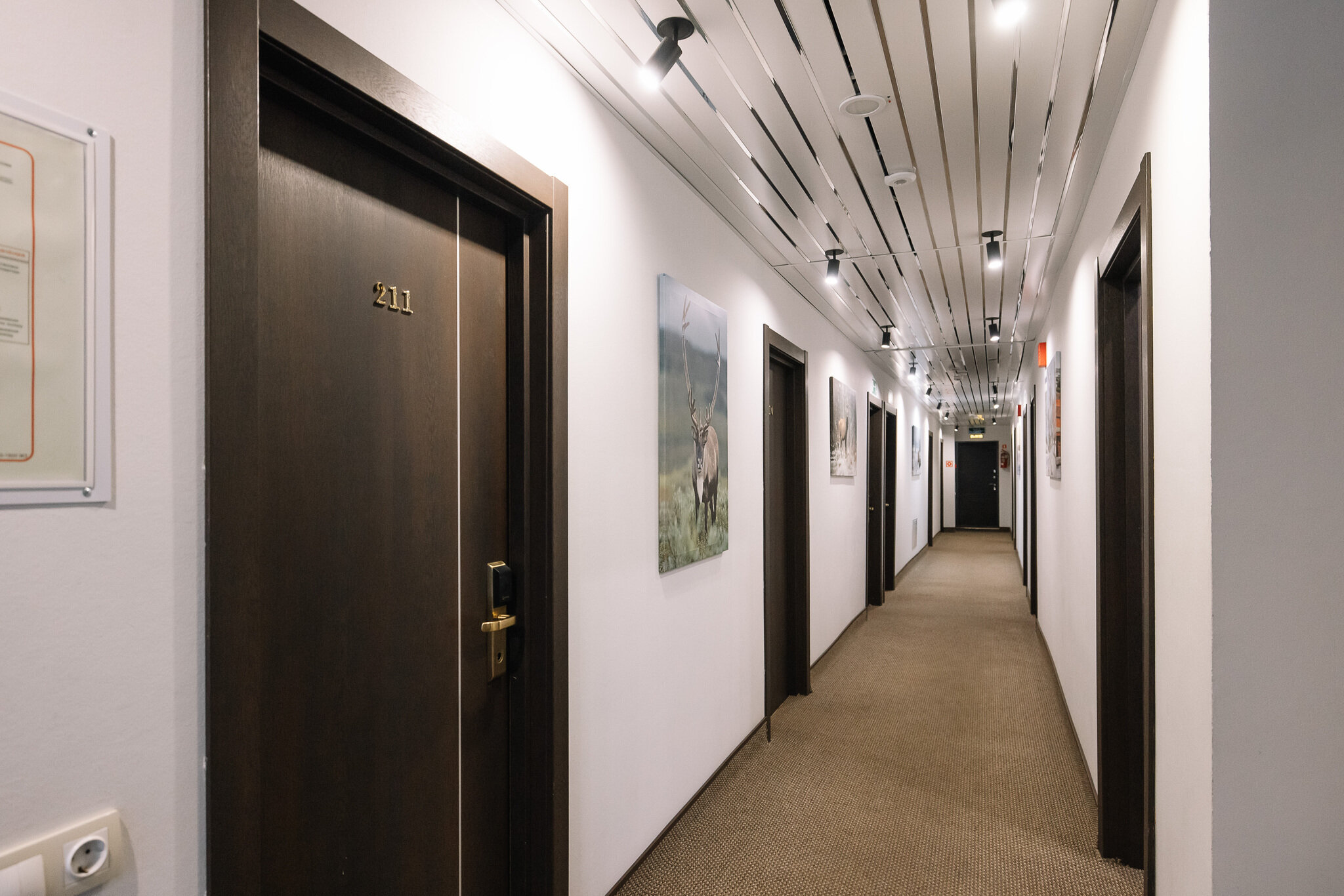 Фото Тундра