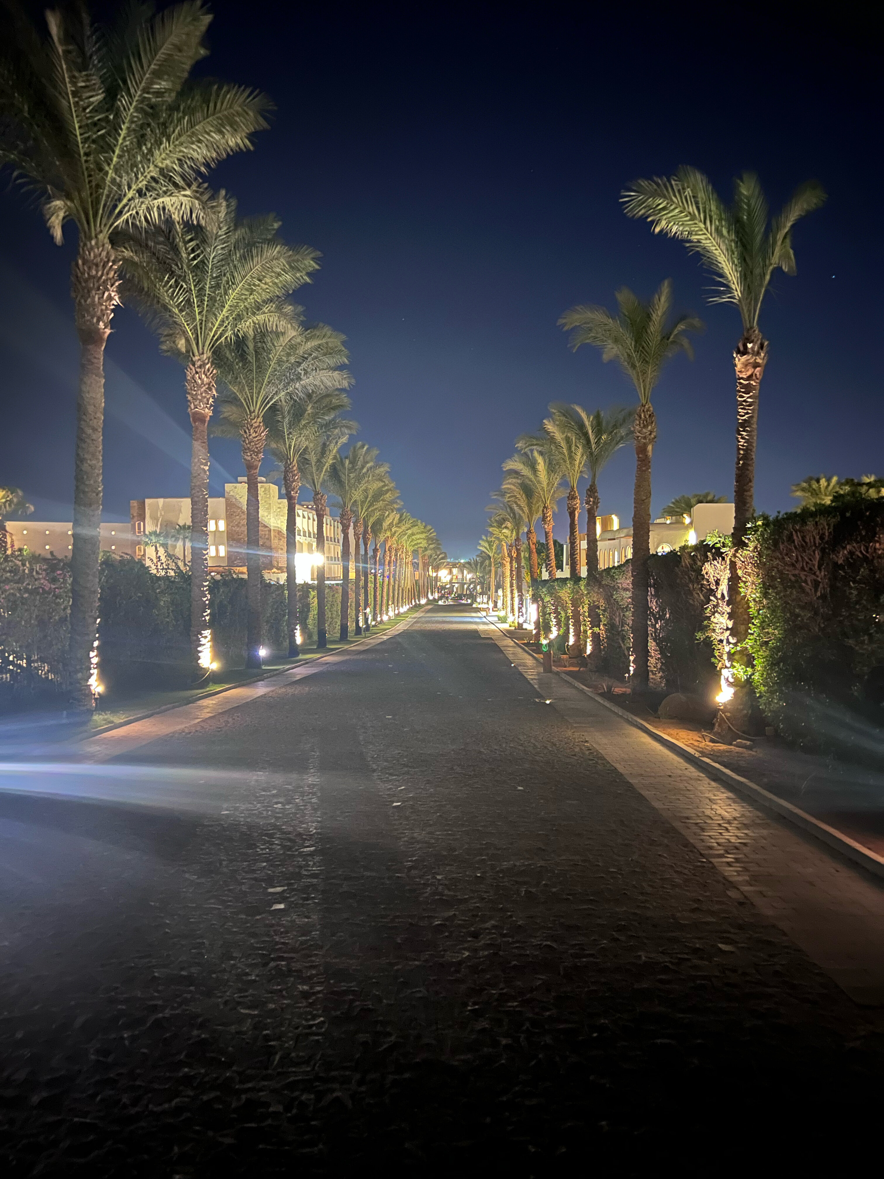 Фото Sunrise Tucana Resort