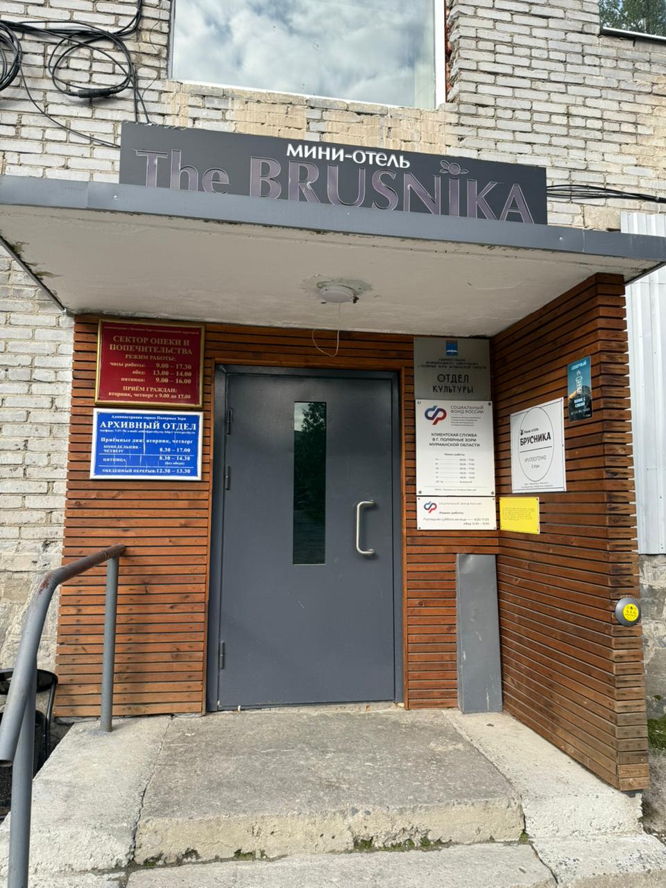 Фото Брусника