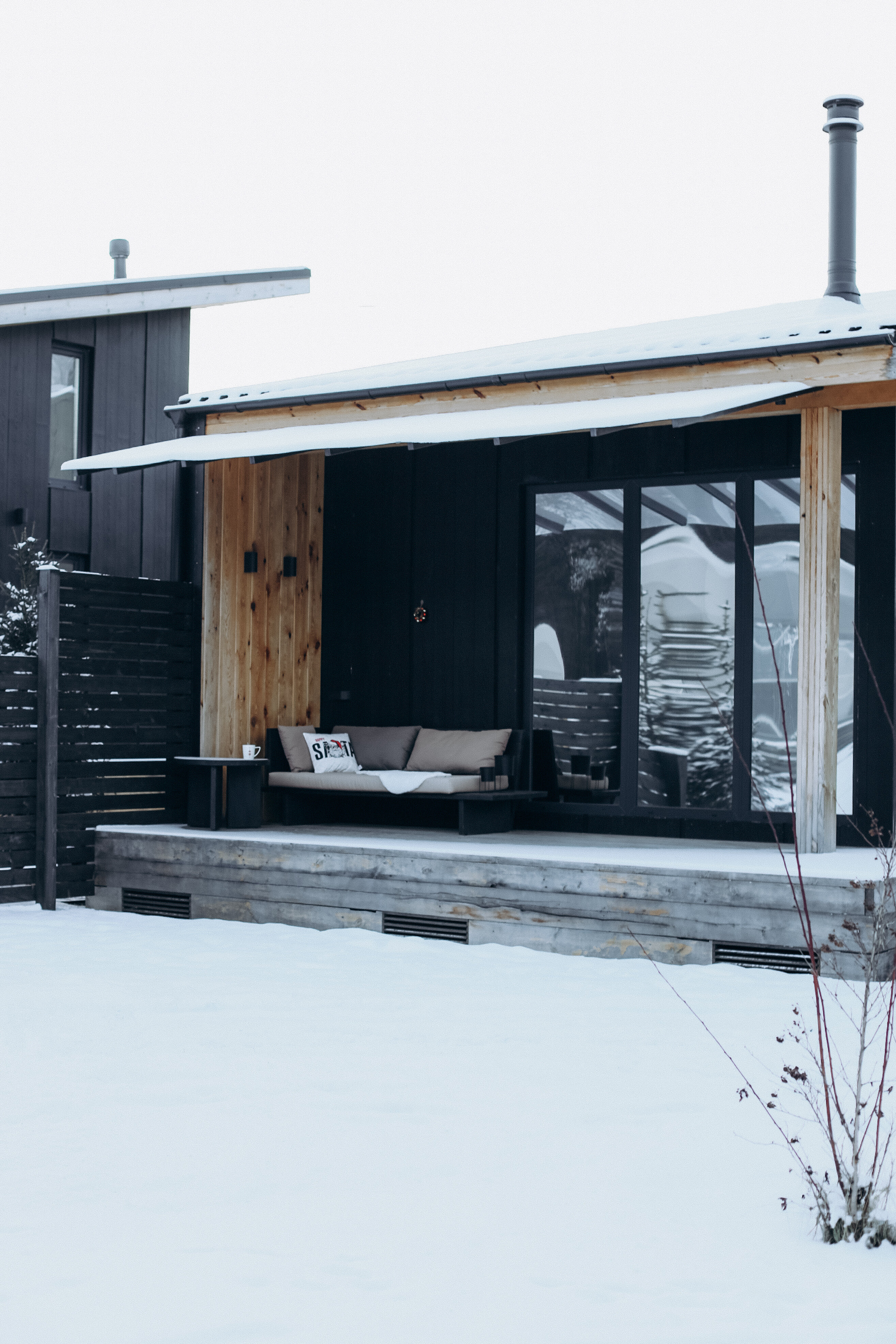 Фото Альпака