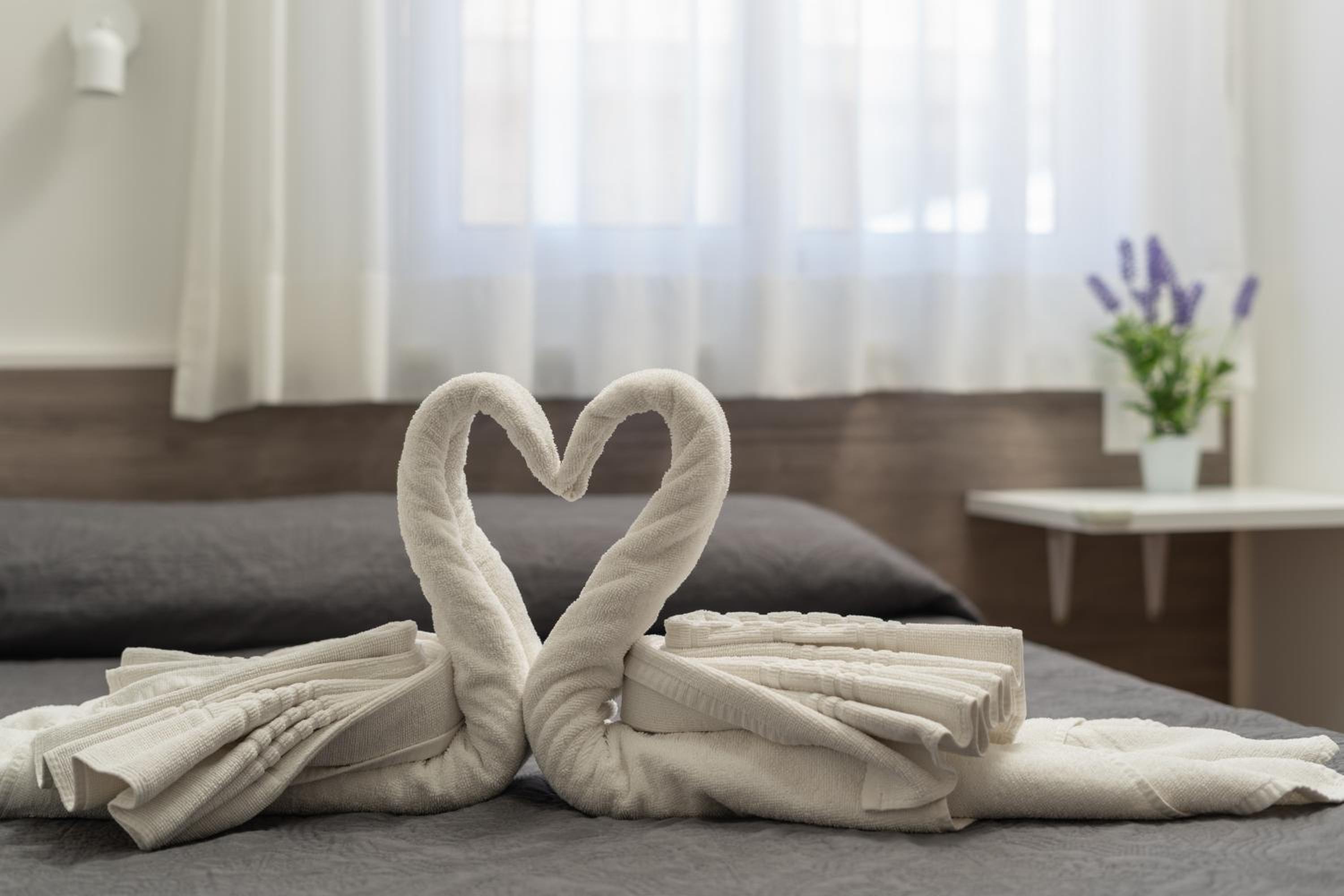 Фото Hotel Tolosa