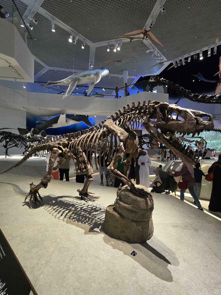 Museum Natural History Museum, Abu Dhabi, photo