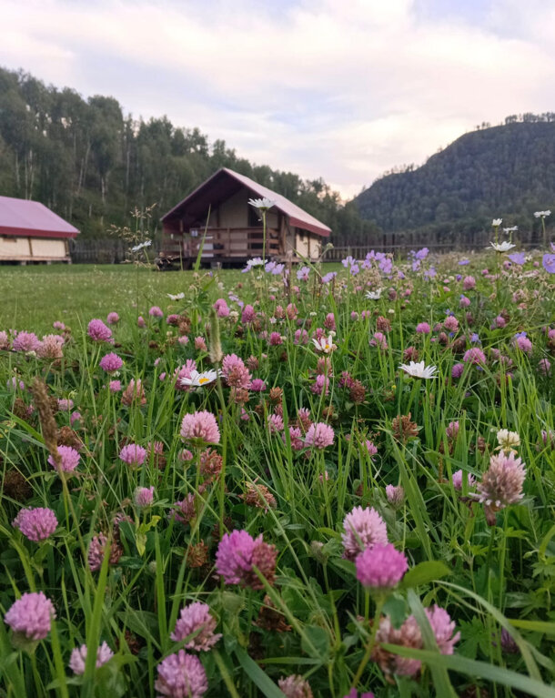 Фото Чедоев привал