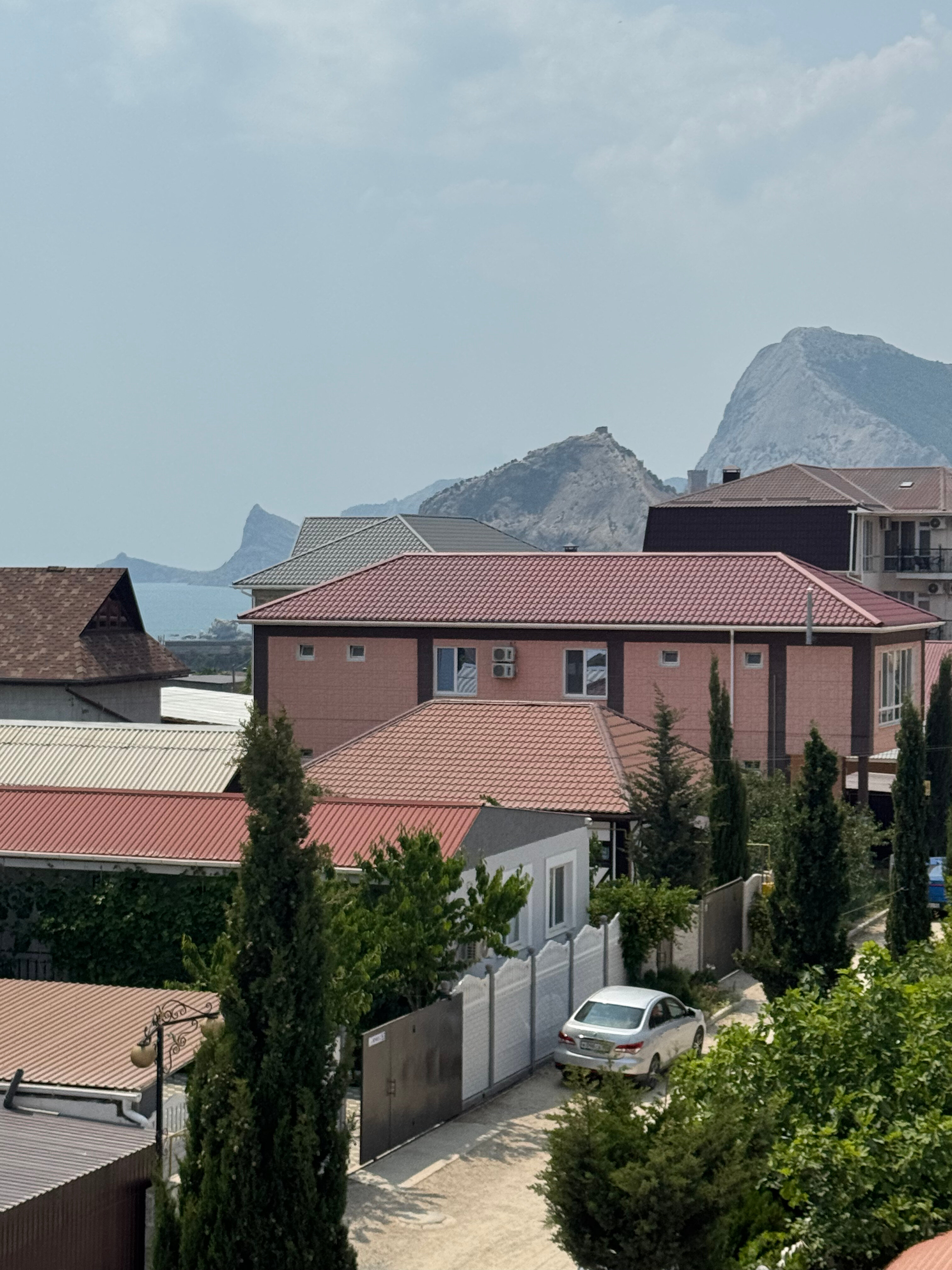 Фото Колибри