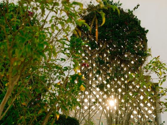 Фото Baron Palms Sharm El Sheikh