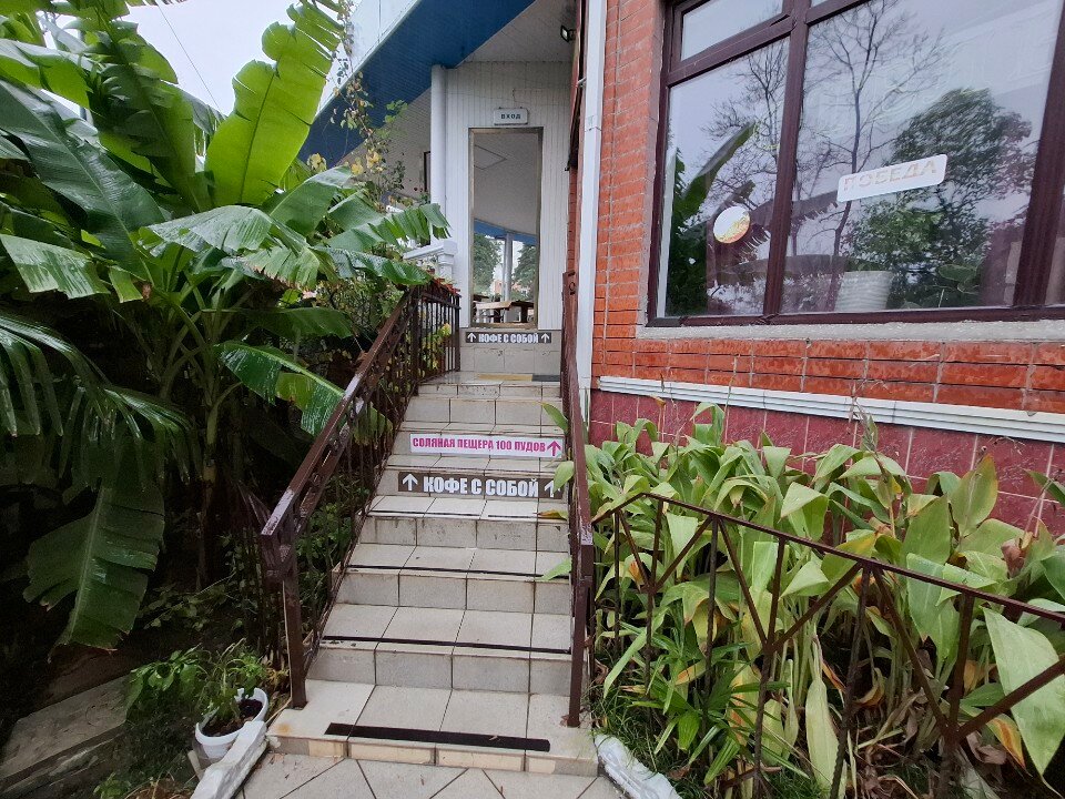 Фото Альбатрос