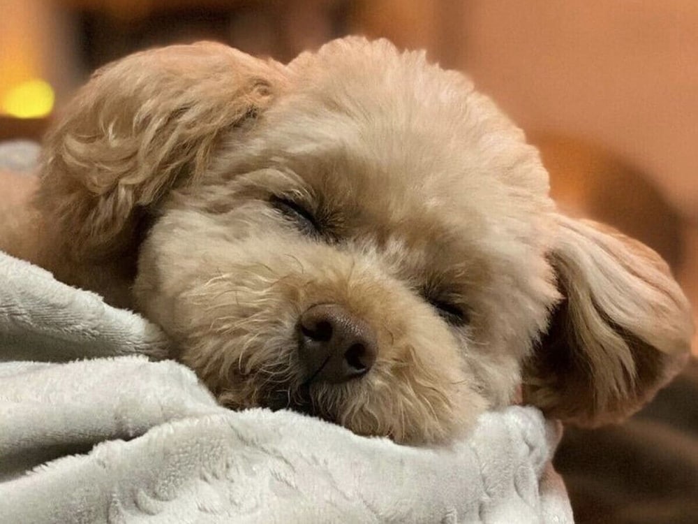 Фото Toyoko Inn Fujisan Otsuki-eki