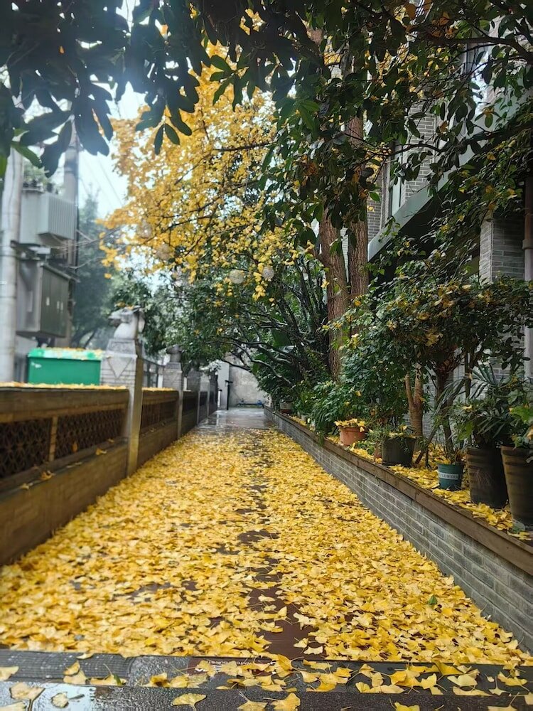 Фото Nostalgia Hotel KuanZhai Alley ChengDu