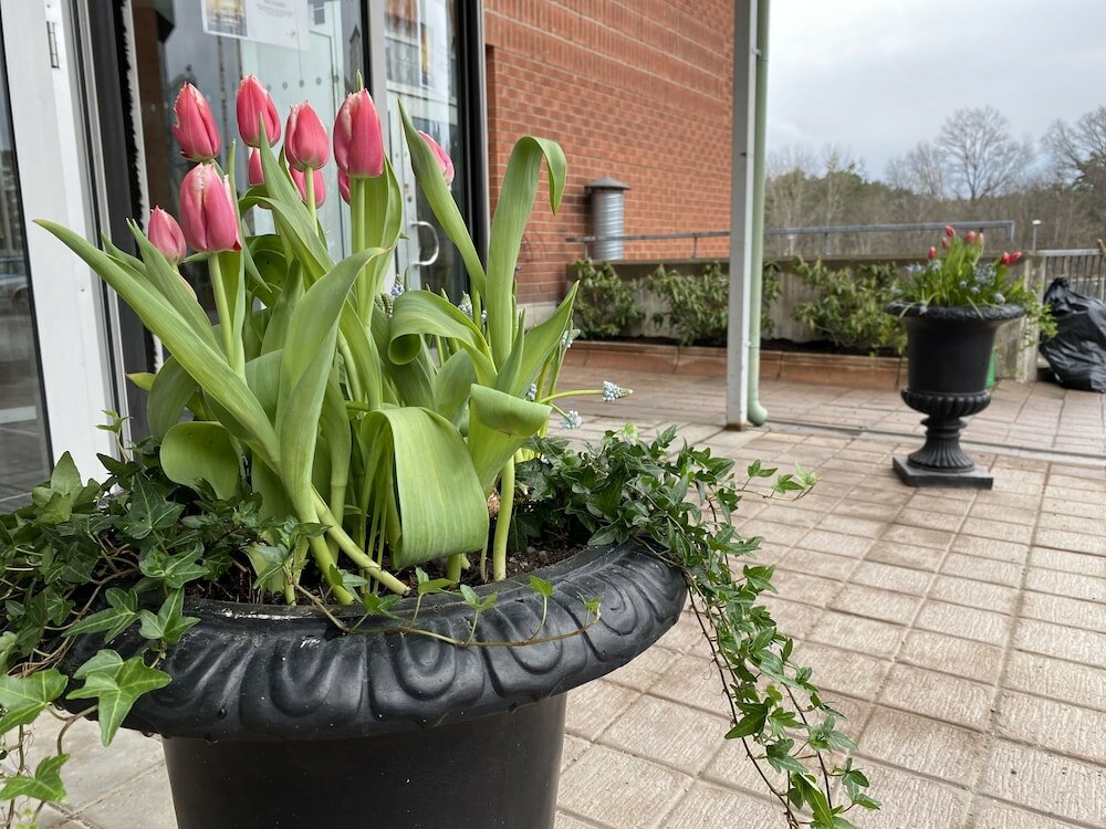 Фото ProfilHotels Nacka