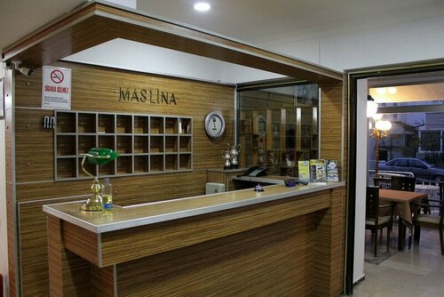 Гостиница Maslina Otel в Эдремите