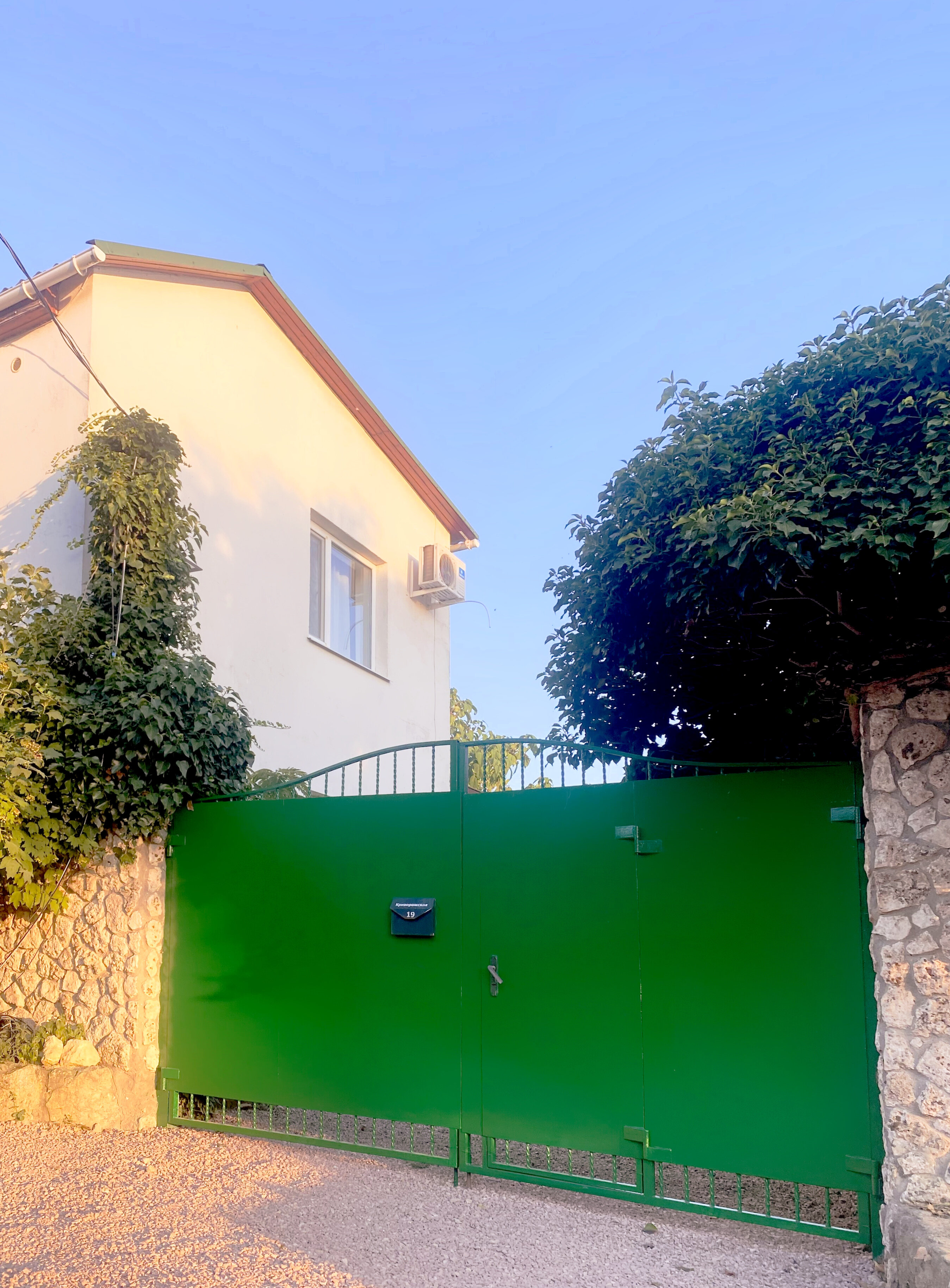 Фото АвокаДа