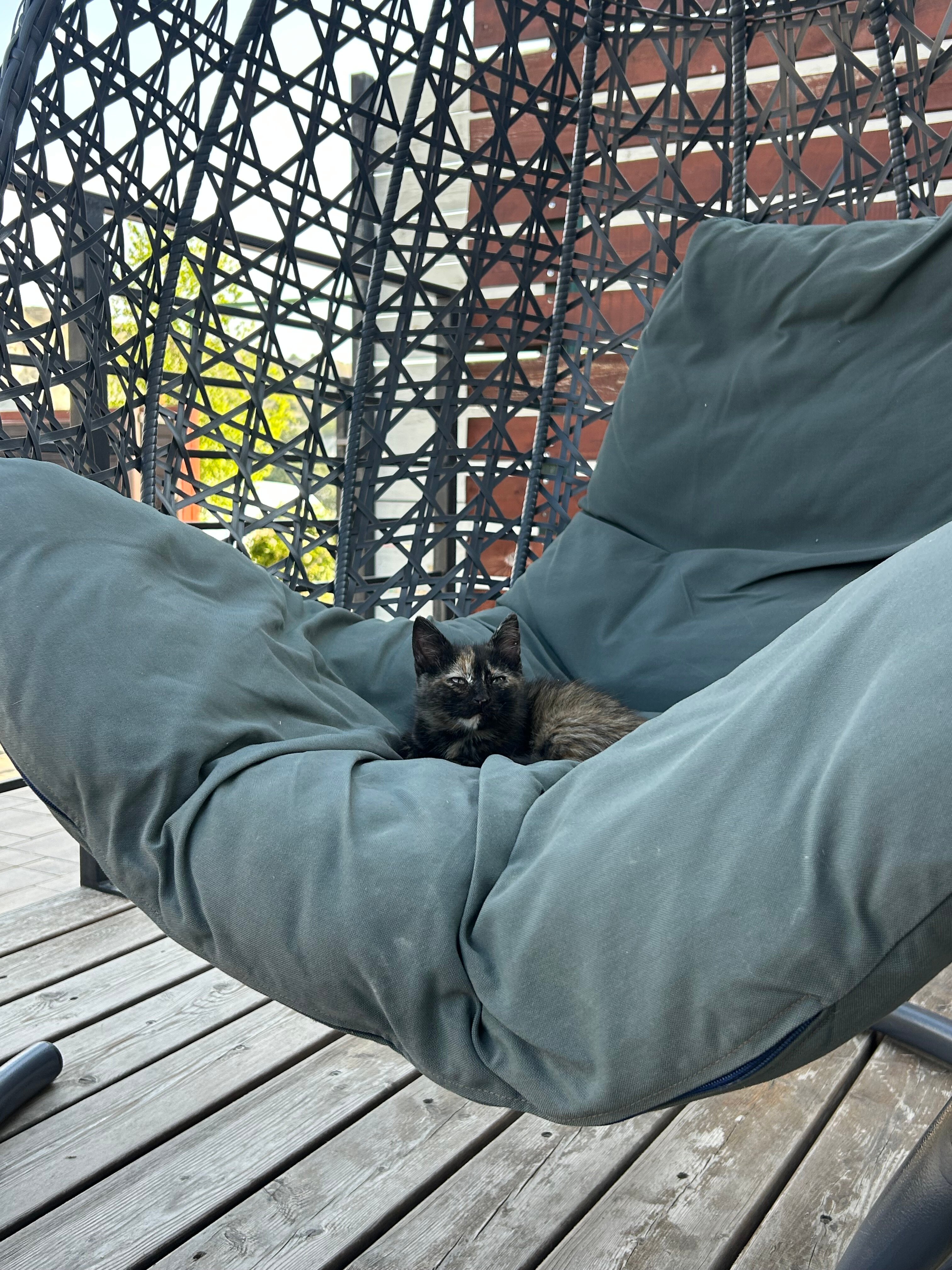 Фото Ковбой