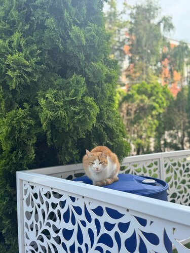 Внешний вид отеля История в Туле, фото 3