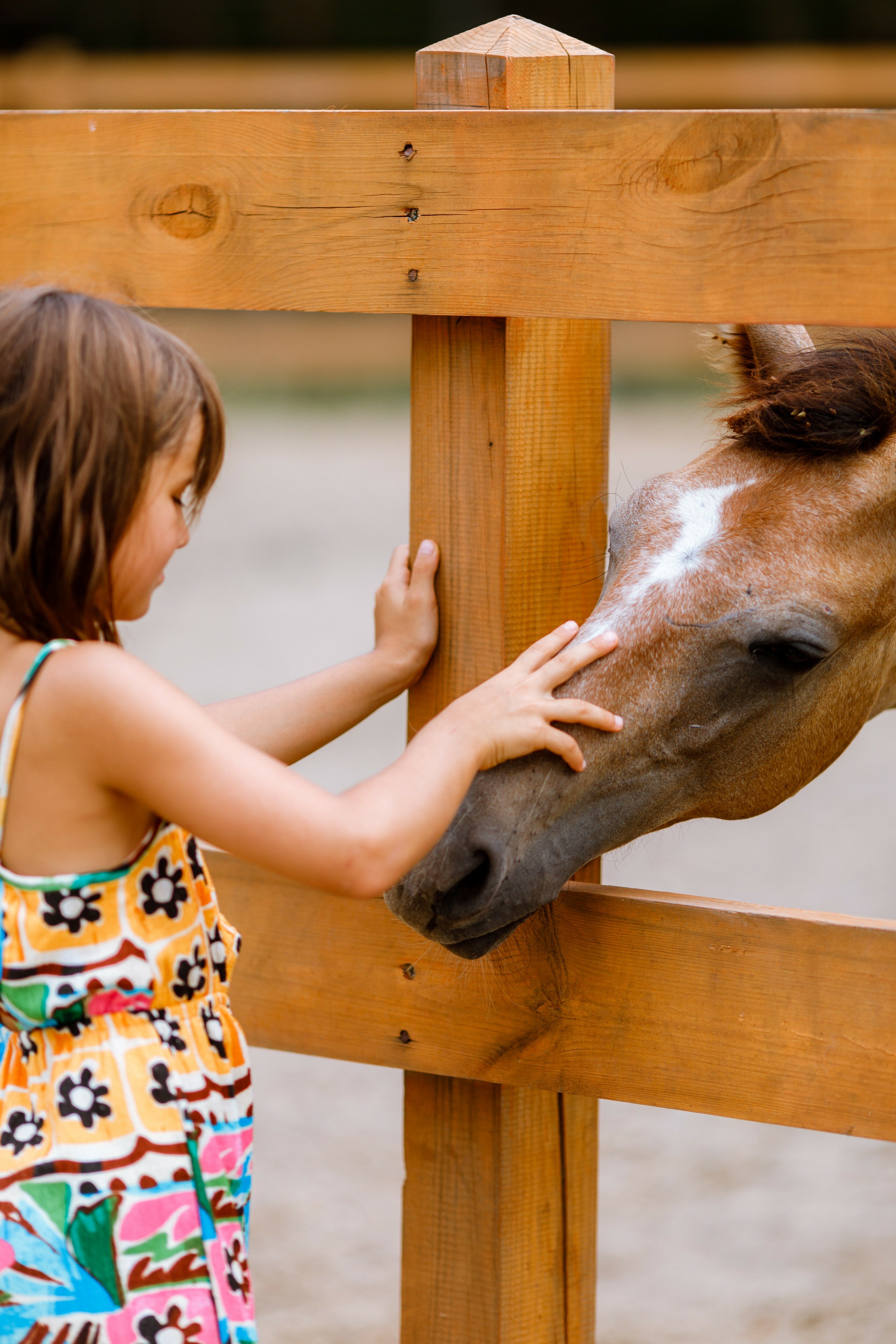 Фото Клевер Парк