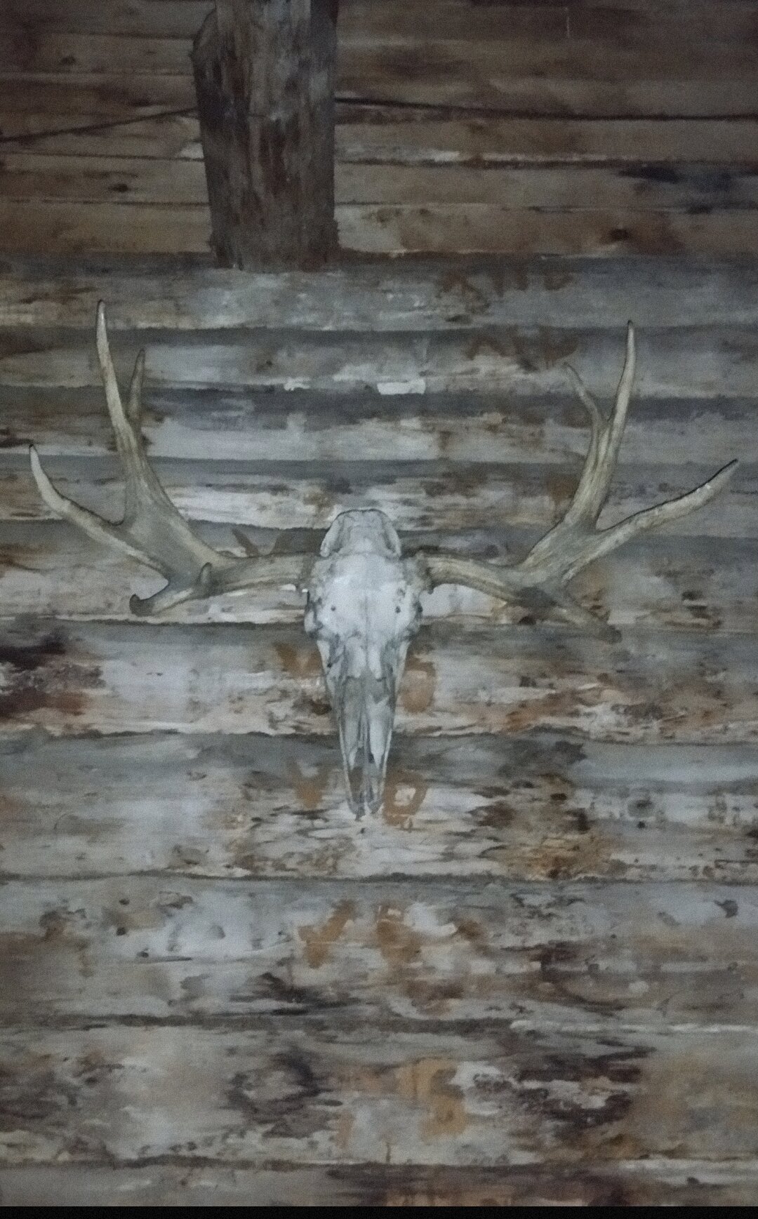 Фото Уютный дом