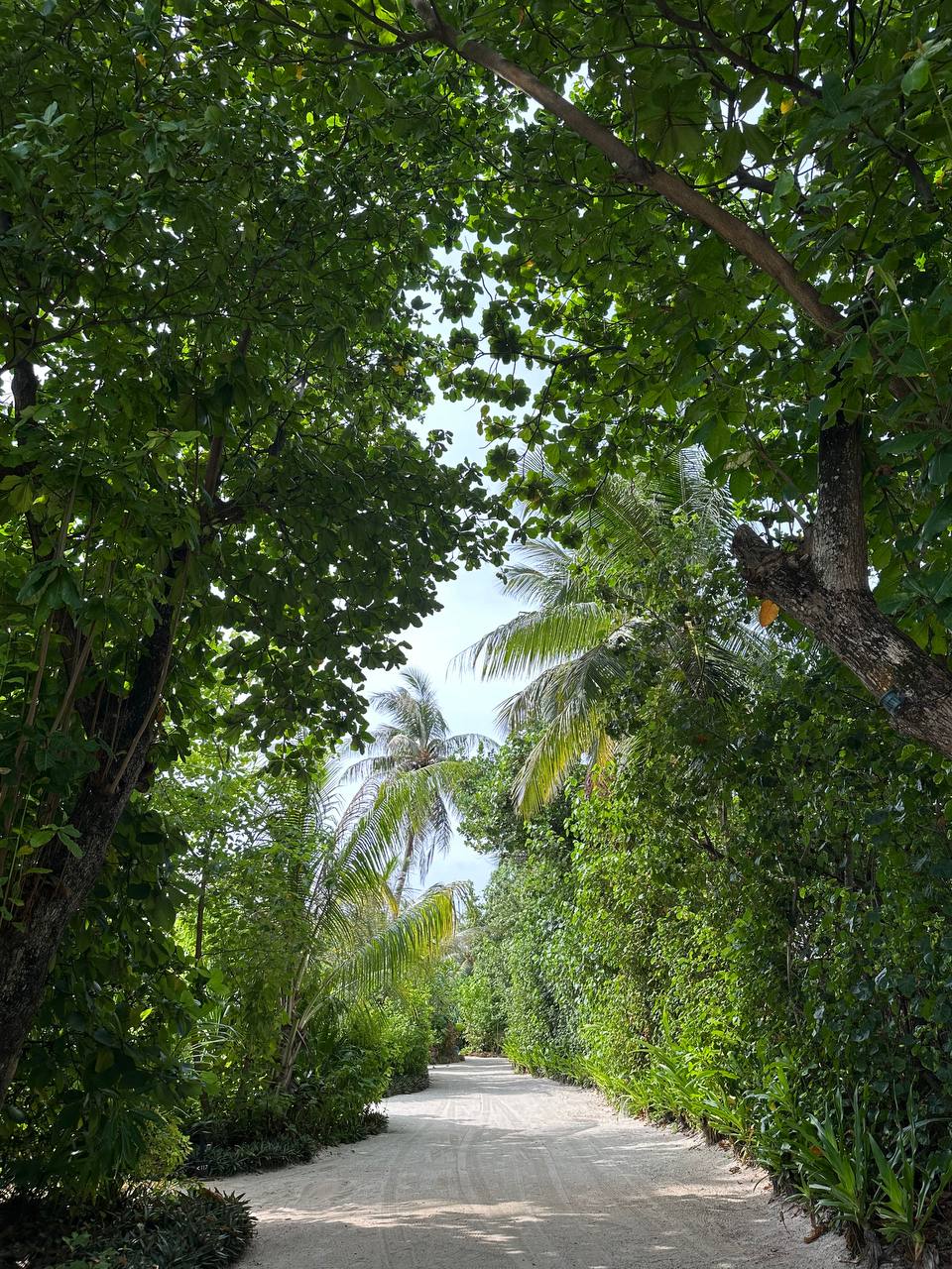 Фото Lagoon View Maldives