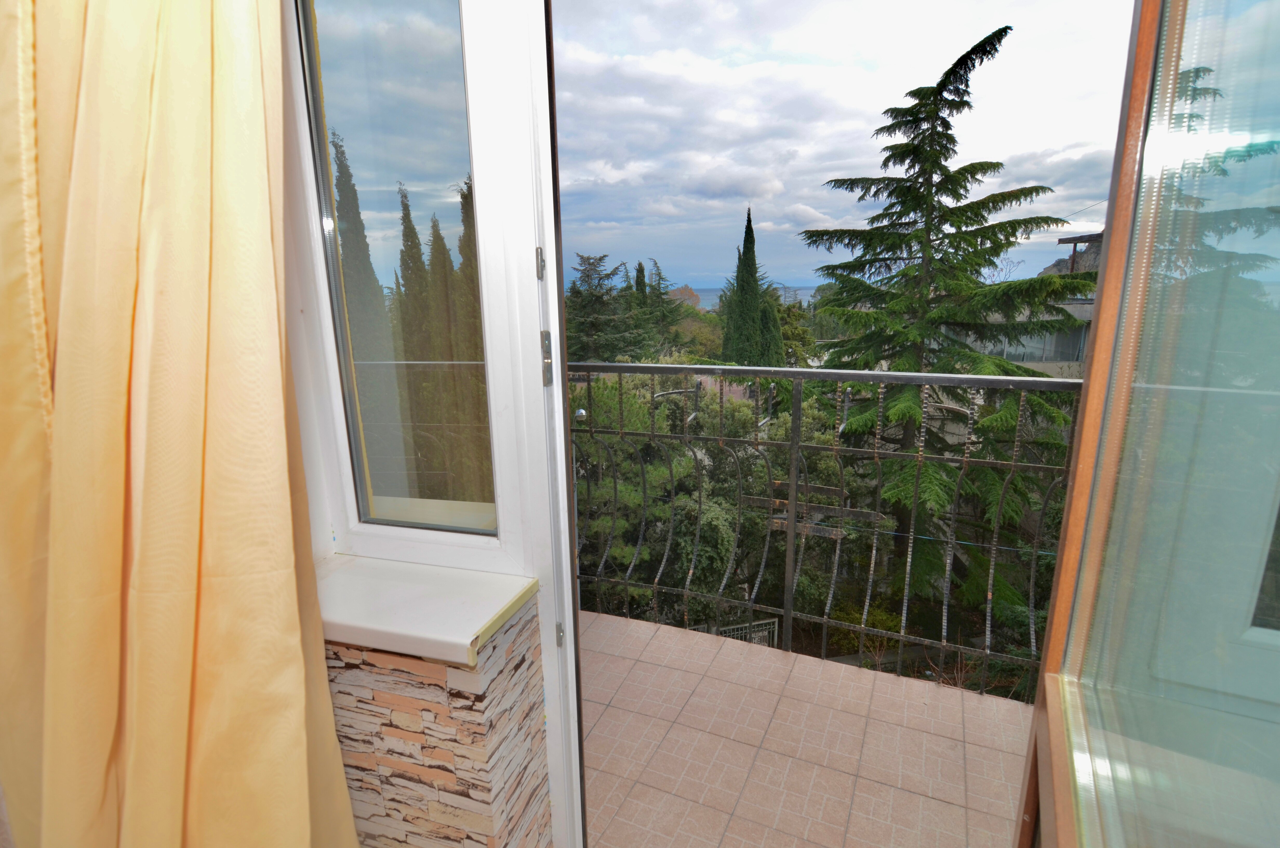 Фото Дельфин