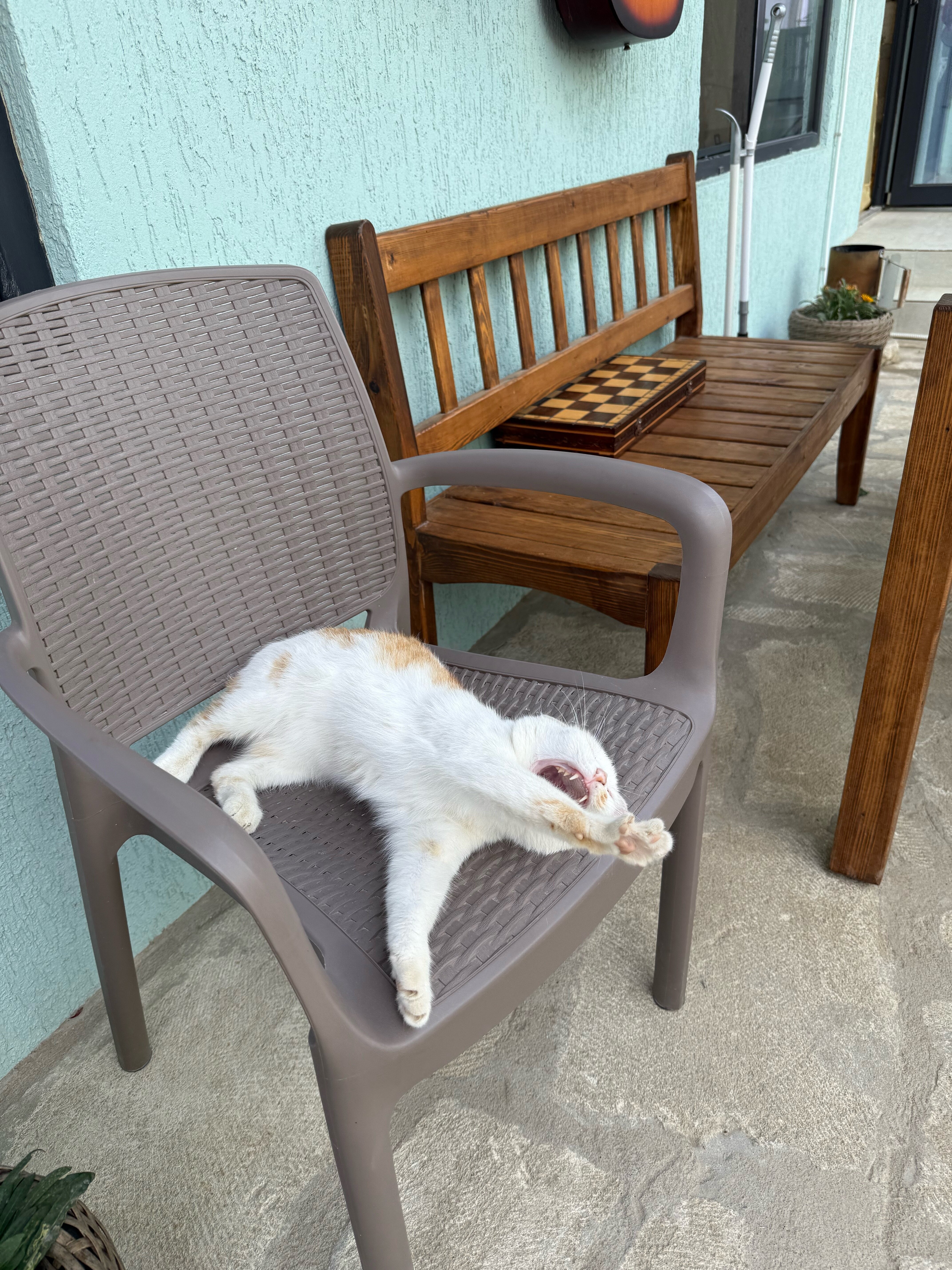 Фото Доброе Море