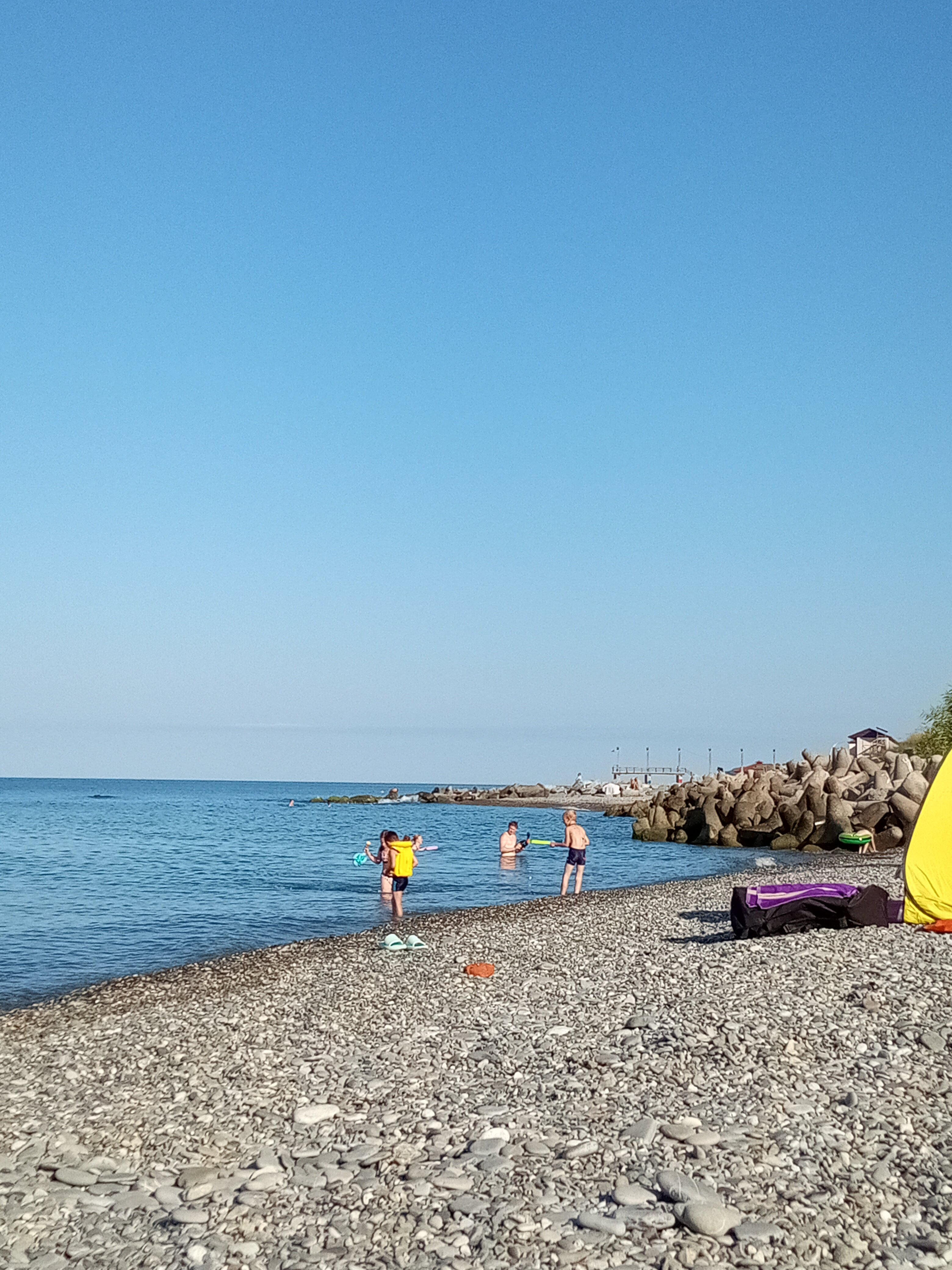 Фото Белые Росы