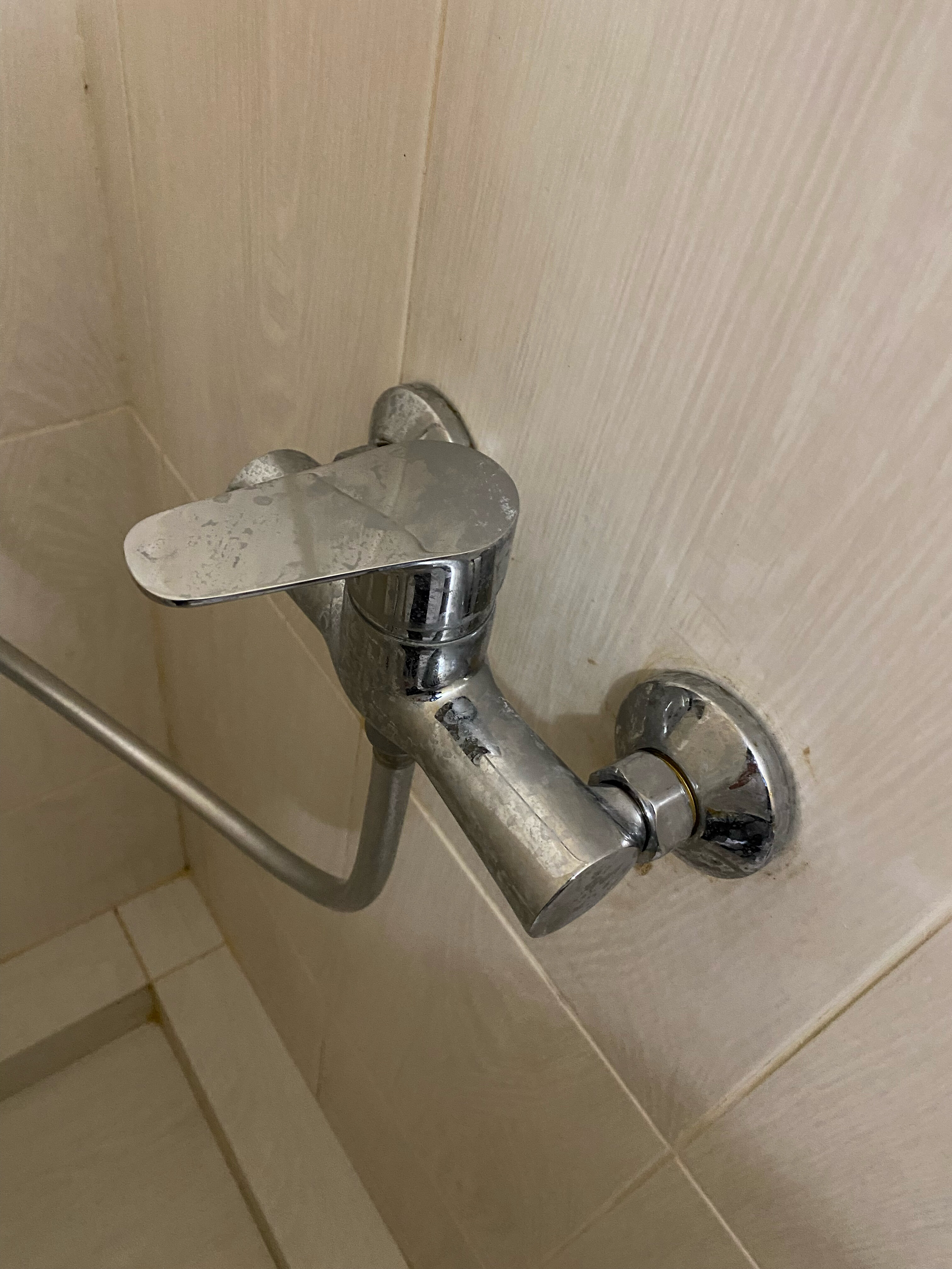 Фото Шафран