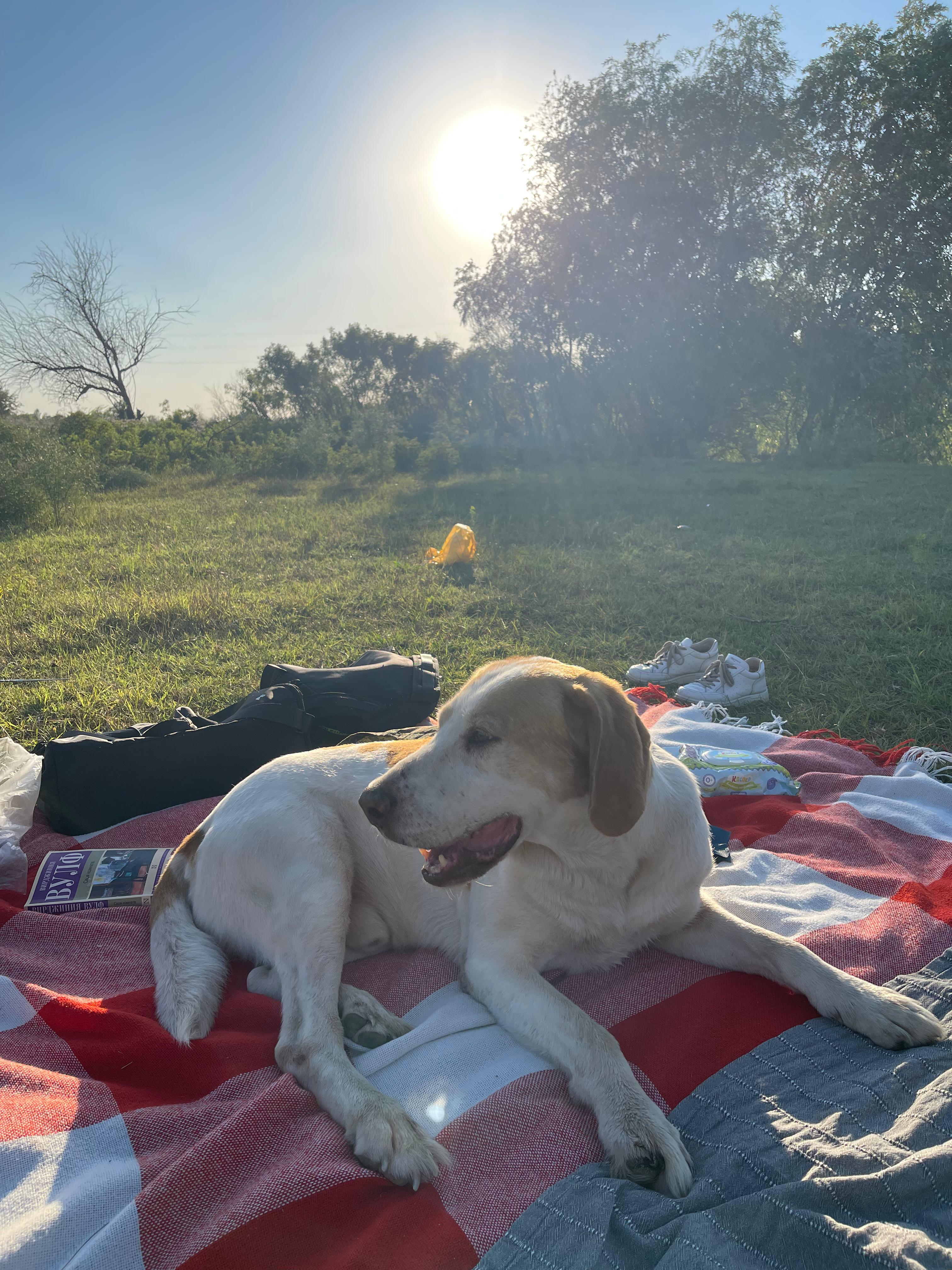 Фото Берлога