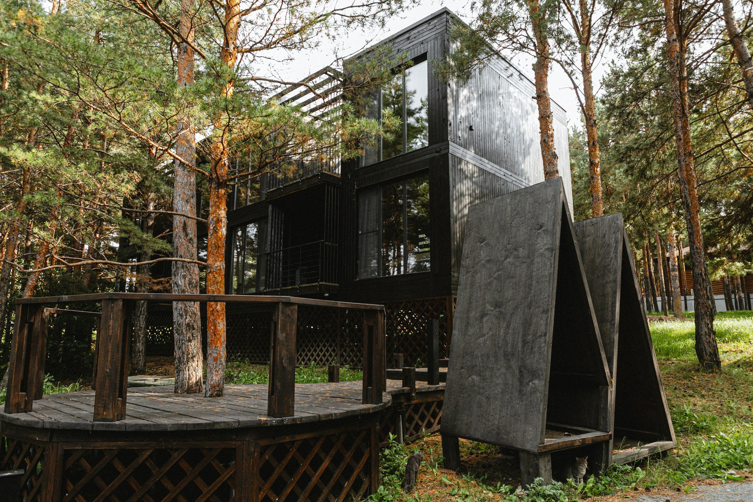 Фото Эко-клуб Шышки