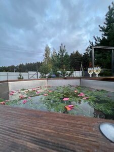 Иное жильё Ёлки-иголки