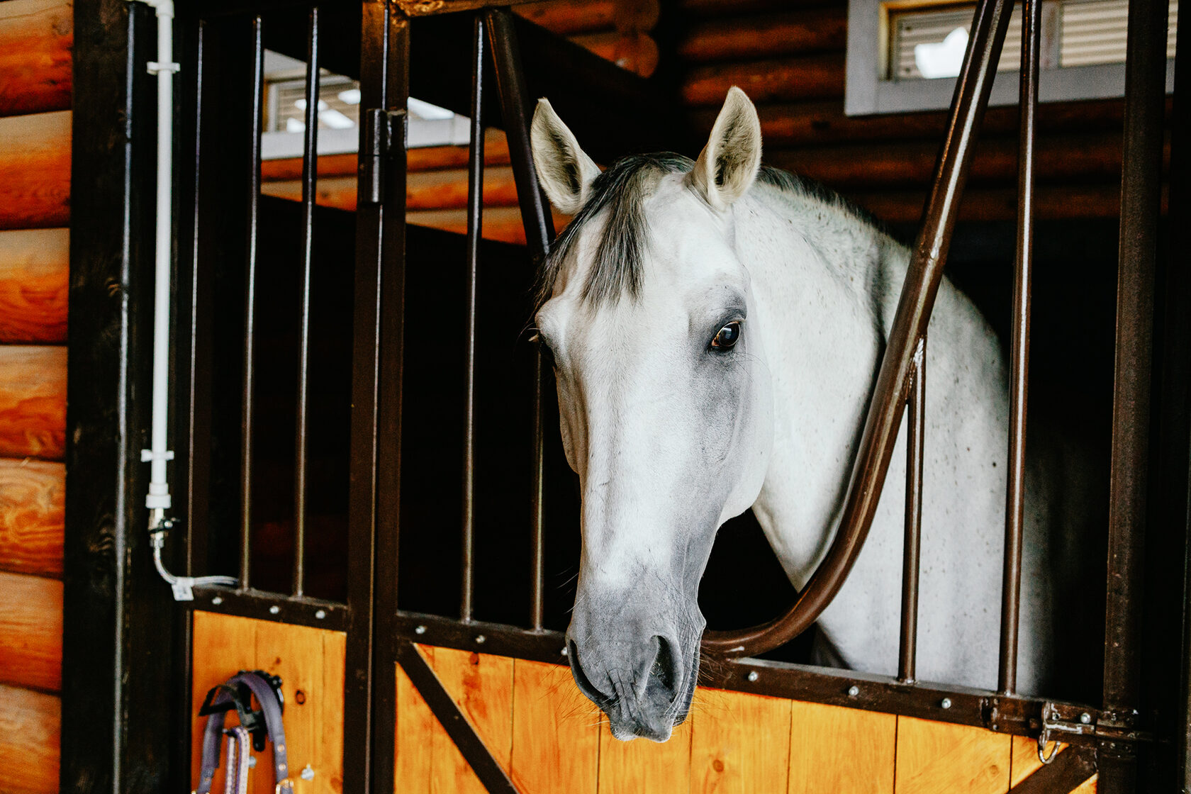 Фото Загородный клуб Ранчо.рф